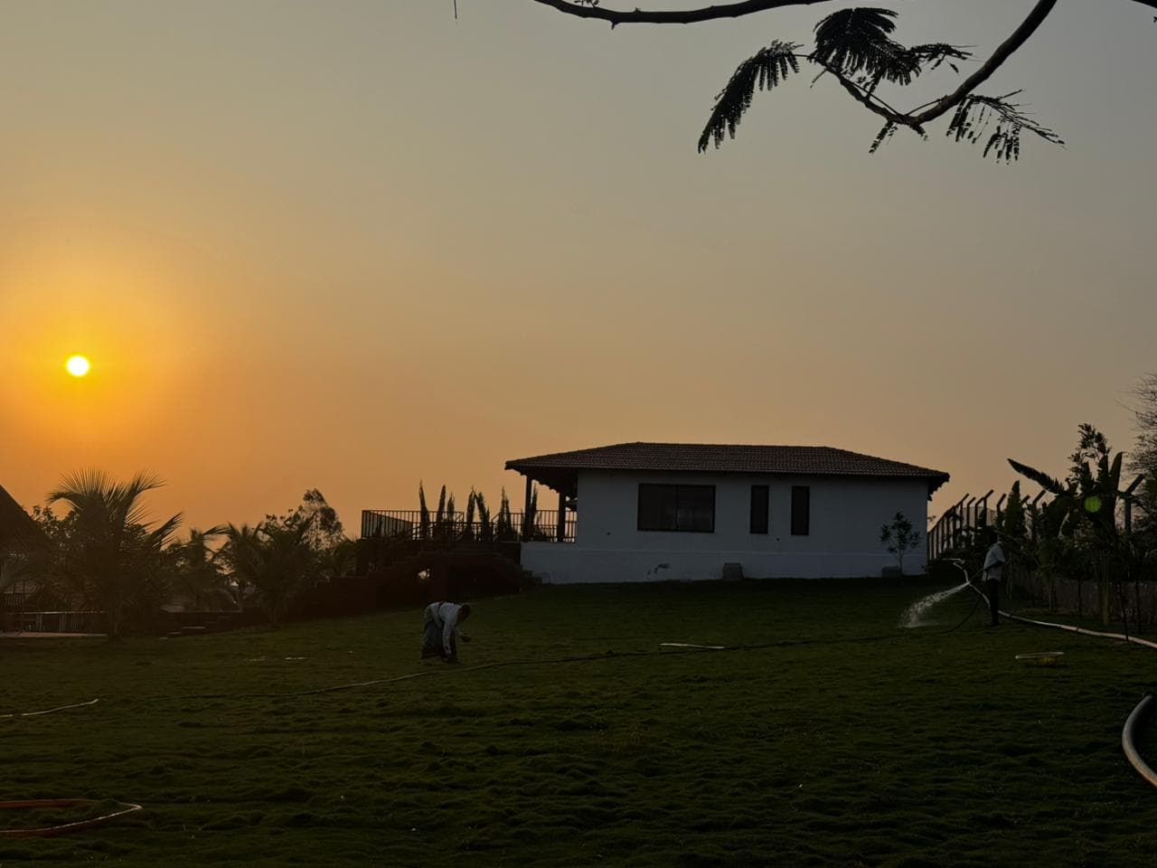 ForestLore surroundings