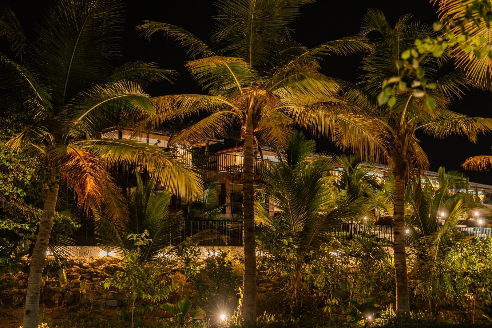 Forest Lore resort night view ambient shot 44 Narsapur Forest Hyderabad